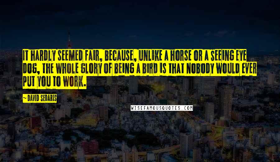 David Sedaris Quotes: It hardly seemed fair, because, unlike a horse or a Seeing Eye dog, the whole glory of being a bird is that nobody would ever put you to work.