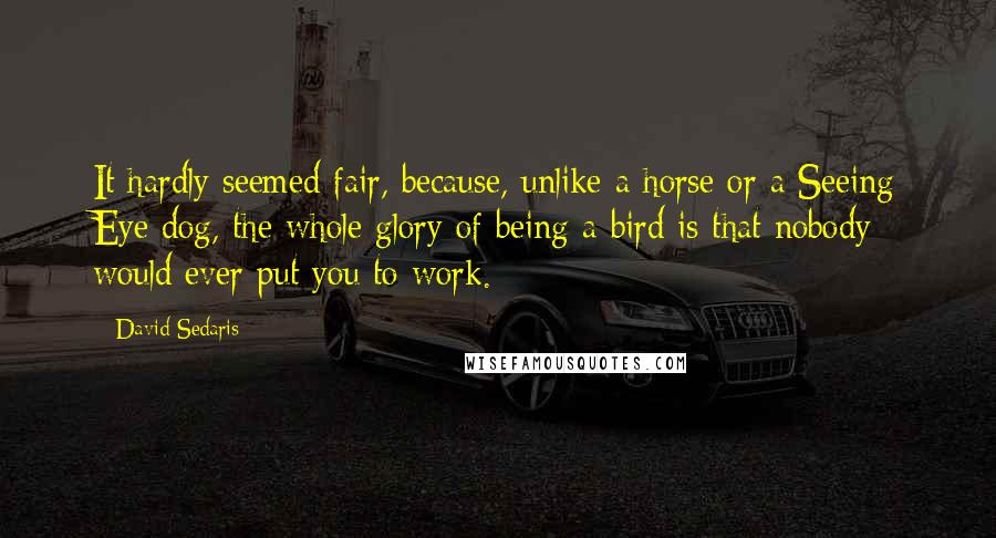 David Sedaris Quotes: It hardly seemed fair, because, unlike a horse or a Seeing Eye dog, the whole glory of being a bird is that nobody would ever put you to work.