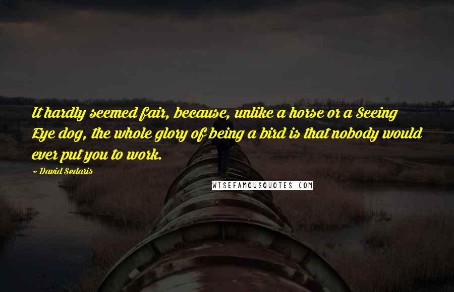 David Sedaris Quotes: It hardly seemed fair, because, unlike a horse or a Seeing Eye dog, the whole glory of being a bird is that nobody would ever put you to work.