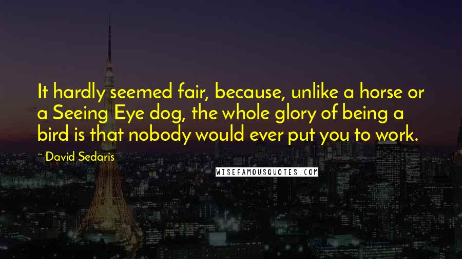 David Sedaris Quotes: It hardly seemed fair, because, unlike a horse or a Seeing Eye dog, the whole glory of being a bird is that nobody would ever put you to work.