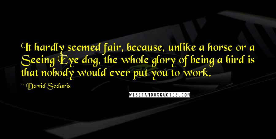 David Sedaris Quotes: It hardly seemed fair, because, unlike a horse or a Seeing Eye dog, the whole glory of being a bird is that nobody would ever put you to work.