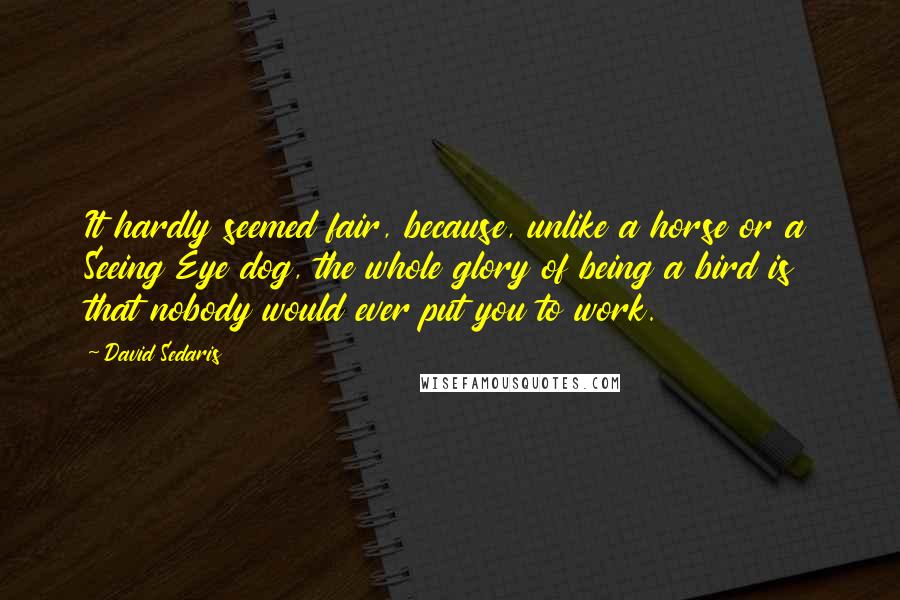 David Sedaris Quotes: It hardly seemed fair, because, unlike a horse or a Seeing Eye dog, the whole glory of being a bird is that nobody would ever put you to work.