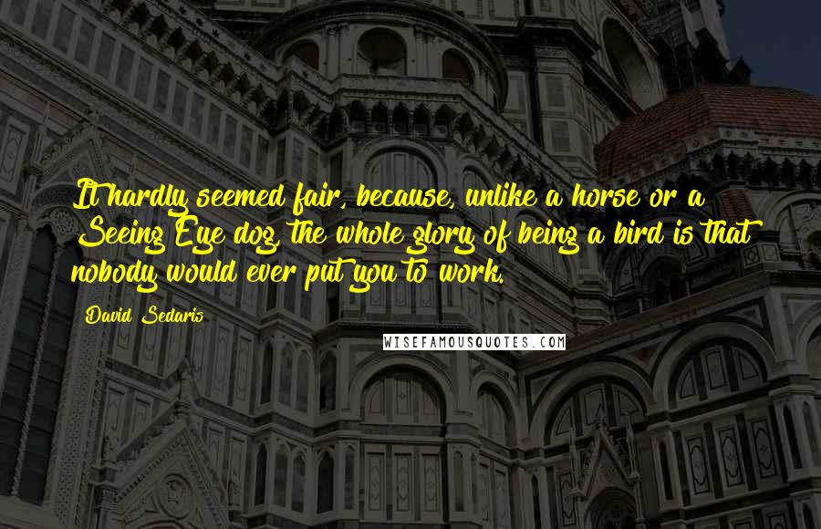 David Sedaris Quotes: It hardly seemed fair, because, unlike a horse or a Seeing Eye dog, the whole glory of being a bird is that nobody would ever put you to work.