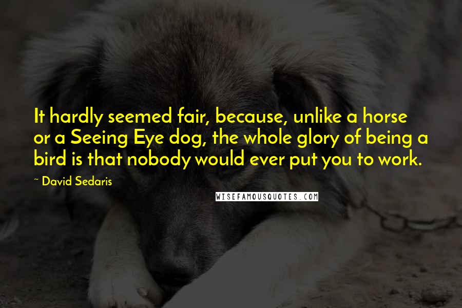 David Sedaris Quotes: It hardly seemed fair, because, unlike a horse or a Seeing Eye dog, the whole glory of being a bird is that nobody would ever put you to work.