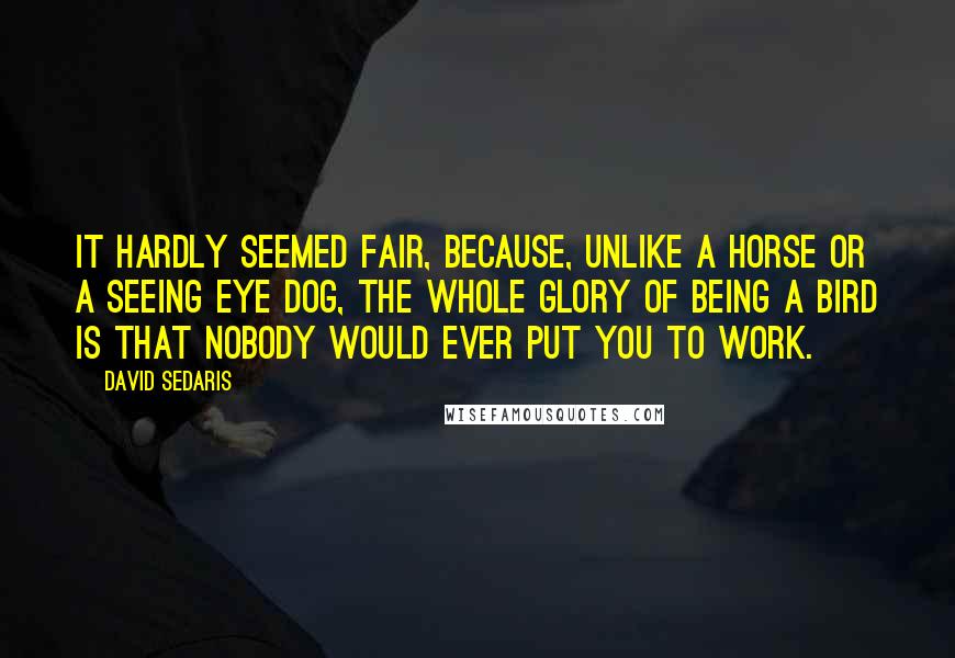 David Sedaris Quotes: It hardly seemed fair, because, unlike a horse or a Seeing Eye dog, the whole glory of being a bird is that nobody would ever put you to work.