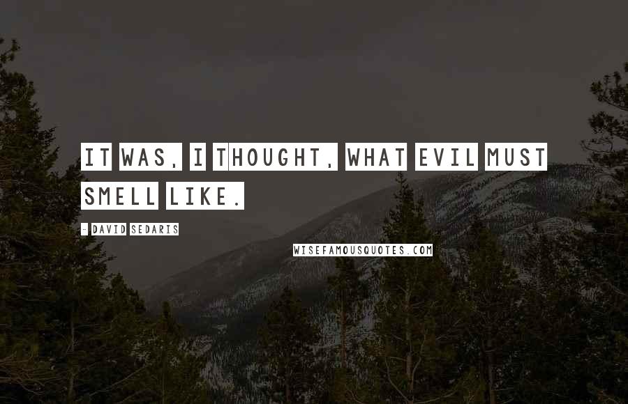 David Sedaris Quotes: It was, I thought, what evil must smell like.