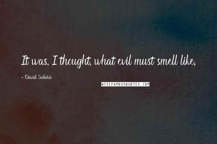 David Sedaris Quotes: It was, I thought, what evil must smell like.