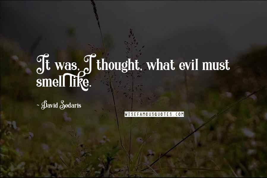 David Sedaris Quotes: It was, I thought, what evil must smell like.