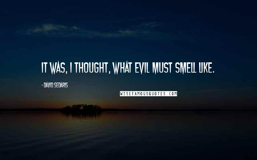 David Sedaris Quotes: It was, I thought, what evil must smell like.