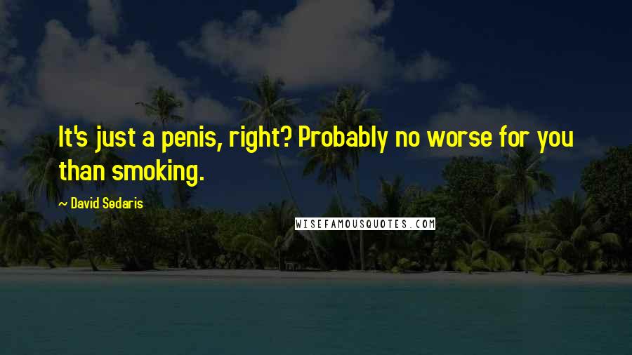 David Sedaris Quotes: It's just a penis, right? Probably no worse for you than smoking.
