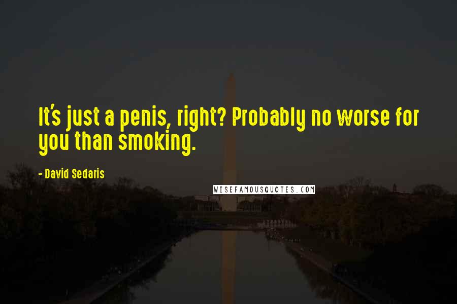 David Sedaris Quotes: It's just a penis, right? Probably no worse for you than smoking.