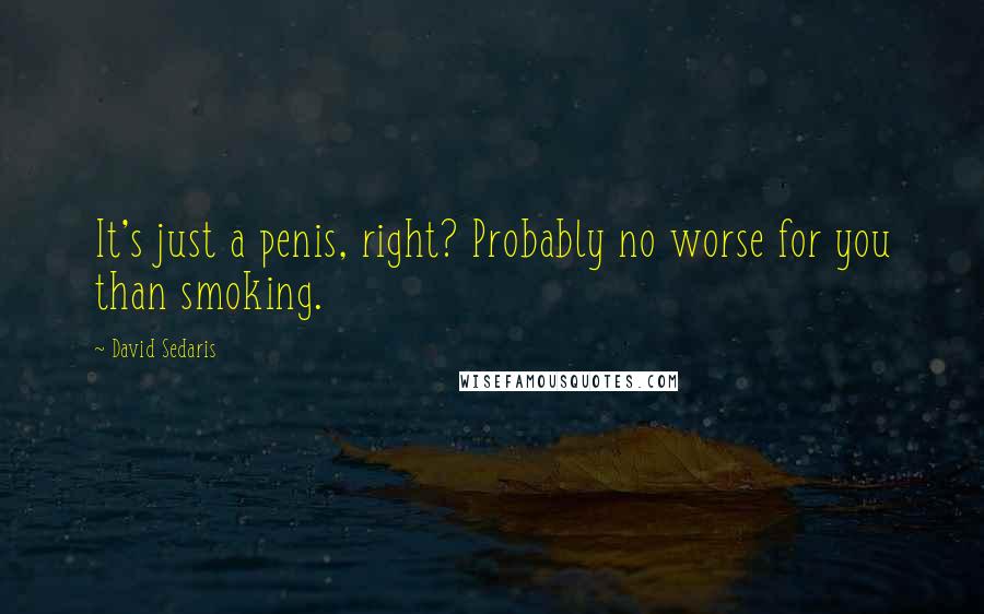 David Sedaris Quotes: It's just a penis, right? Probably no worse for you than smoking.