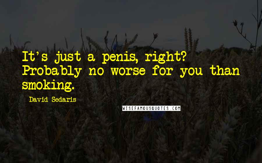 David Sedaris Quotes: It's just a penis, right? Probably no worse for you than smoking.