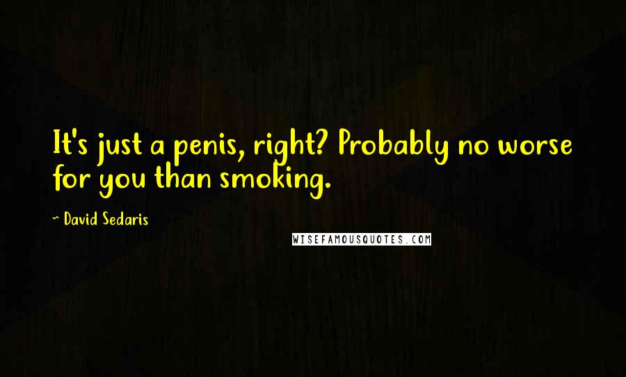 David Sedaris Quotes: It's just a penis, right? Probably no worse for you than smoking.