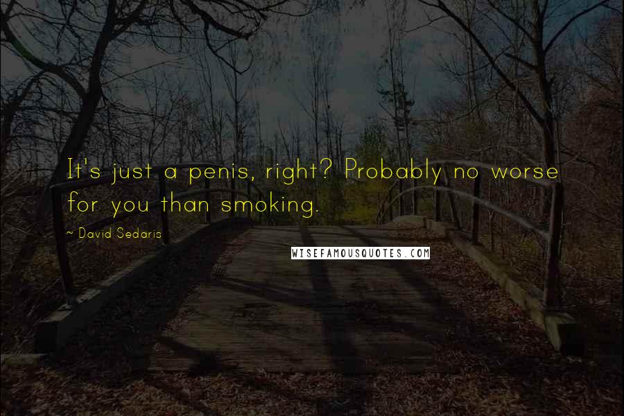 David Sedaris Quotes: It's just a penis, right? Probably no worse for you than smoking.