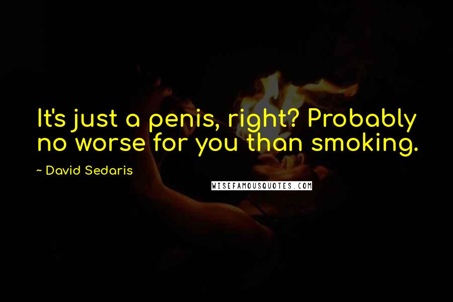 David Sedaris Quotes: It's just a penis, right? Probably no worse for you than smoking.