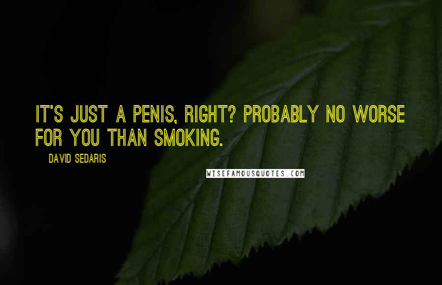 David Sedaris Quotes: It's just a penis, right? Probably no worse for you than smoking.