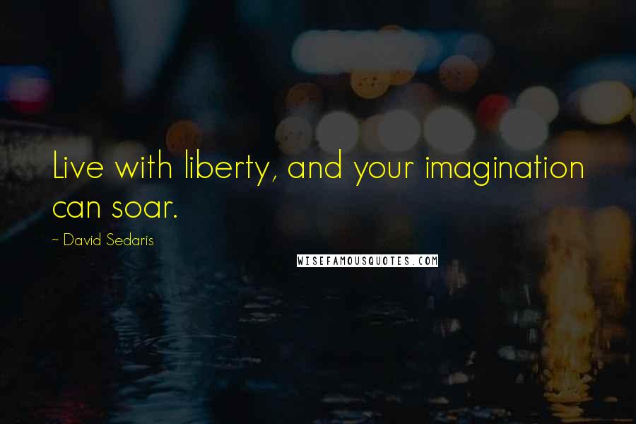 David Sedaris Quotes: Live with liberty, and your imagination can soar.