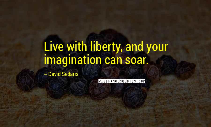 David Sedaris Quotes: Live with liberty, and your imagination can soar.