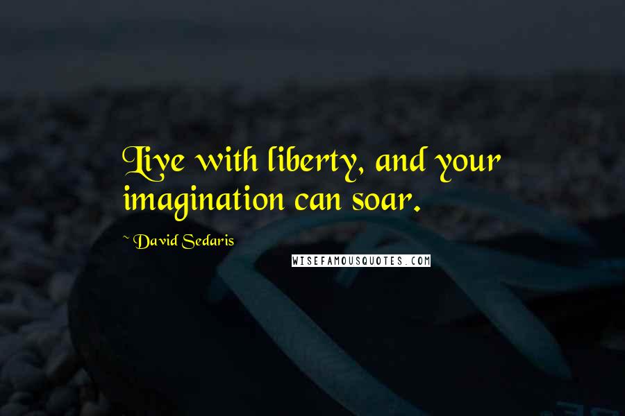 David Sedaris Quotes: Live with liberty, and your imagination can soar.
