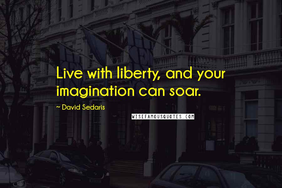 David Sedaris Quotes: Live with liberty, and your imagination can soar.