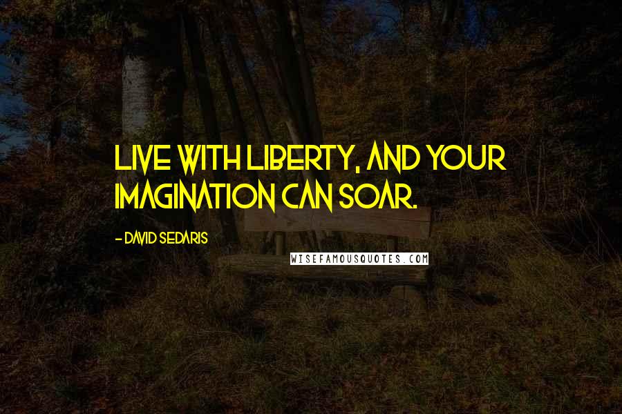 David Sedaris Quotes: Live with liberty, and your imagination can soar.
