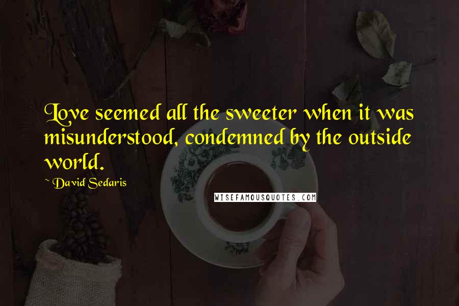 David Sedaris Quotes: Love seemed all the sweeter when it was misunderstood, condemned by the outside world.