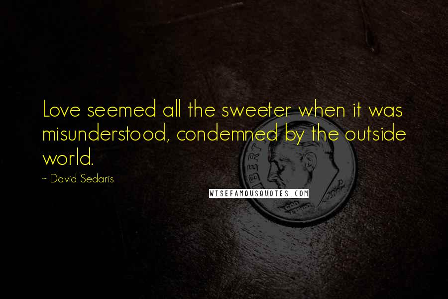 David Sedaris Quotes: Love seemed all the sweeter when it was misunderstood, condemned by the outside world.