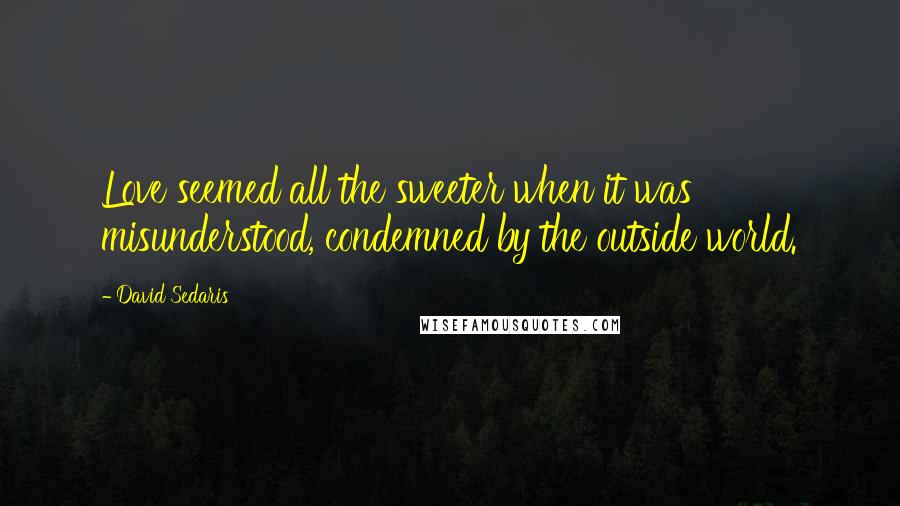 David Sedaris Quotes: Love seemed all the sweeter when it was misunderstood, condemned by the outside world.