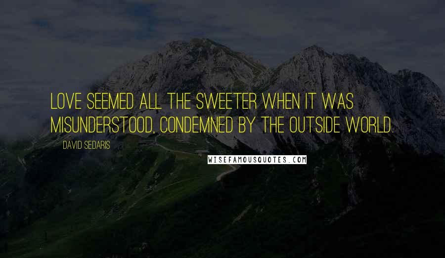 David Sedaris Quotes: Love seemed all the sweeter when it was misunderstood, condemned by the outside world.