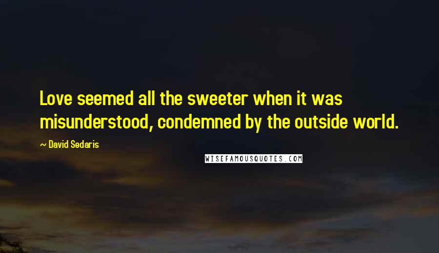 David Sedaris Quotes: Love seemed all the sweeter when it was misunderstood, condemned by the outside world.