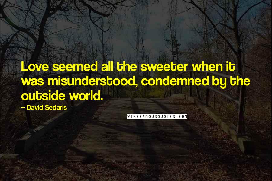 David Sedaris Quotes: Love seemed all the sweeter when it was misunderstood, condemned by the outside world.