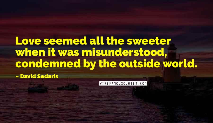 David Sedaris Quotes: Love seemed all the sweeter when it was misunderstood, condemned by the outside world.