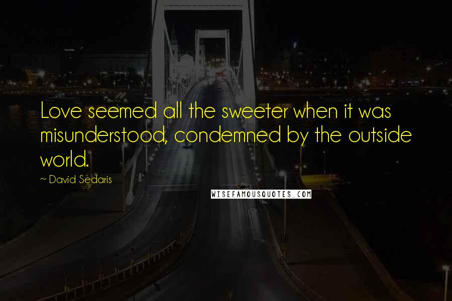 David Sedaris Quotes: Love seemed all the sweeter when it was misunderstood, condemned by the outside world.