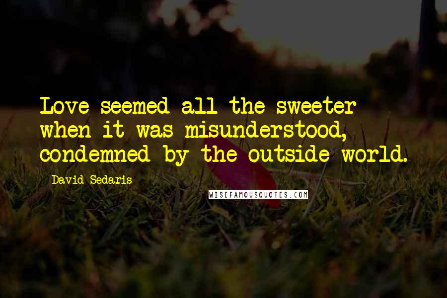 David Sedaris Quotes: Love seemed all the sweeter when it was misunderstood, condemned by the outside world.