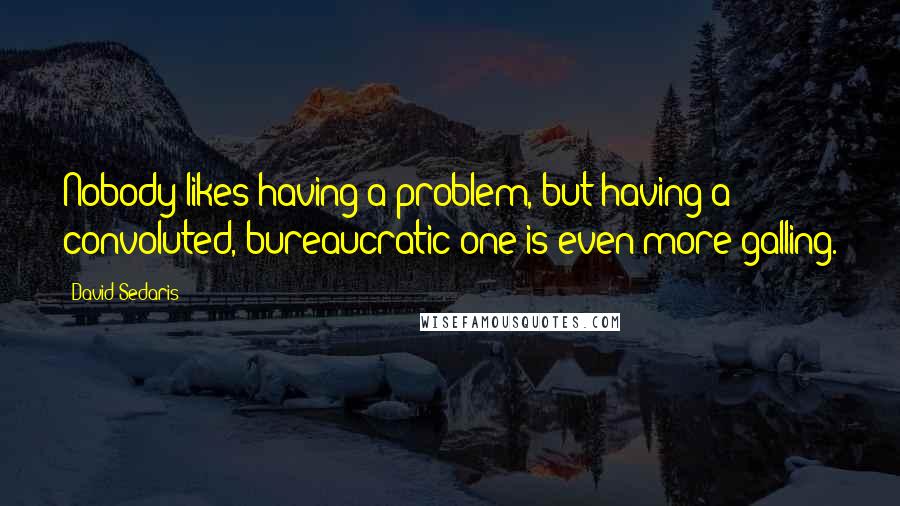 David Sedaris Quotes: Nobody likes having a problem, but having a convoluted, bureaucratic one is even more galling.