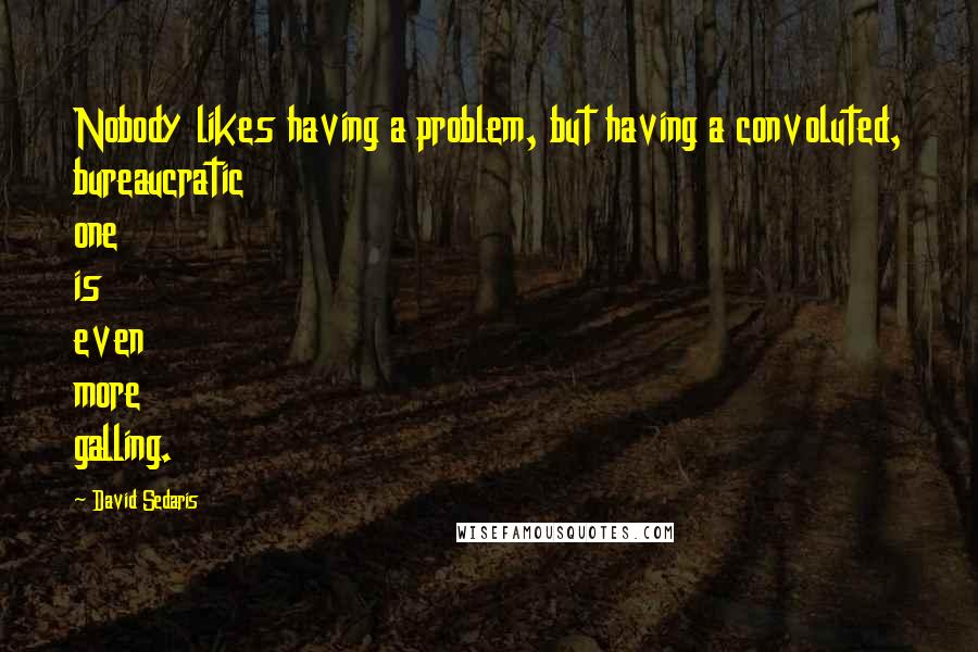 David Sedaris Quotes: Nobody likes having a problem, but having a convoluted, bureaucratic one is even more galling.