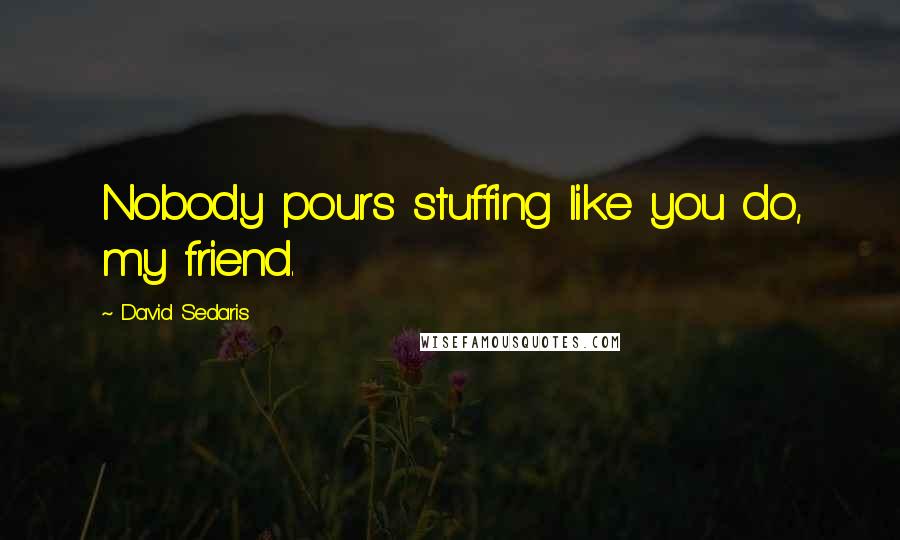 David Sedaris Quotes: Nobody pours stuffing like you do, my friend.