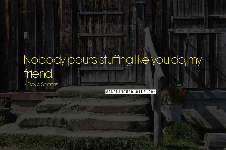 David Sedaris Quotes: Nobody pours stuffing like you do, my friend.