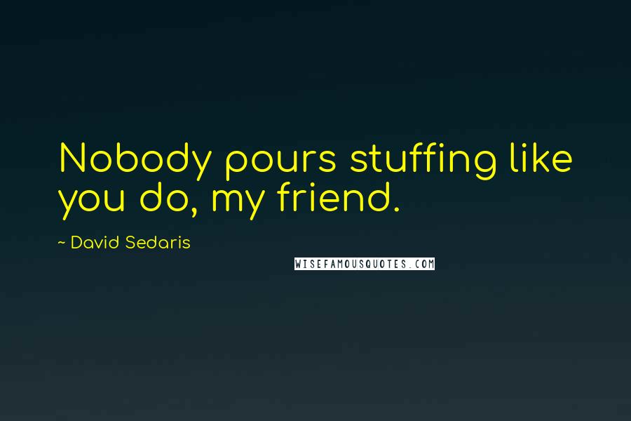 David Sedaris Quotes: Nobody pours stuffing like you do, my friend.