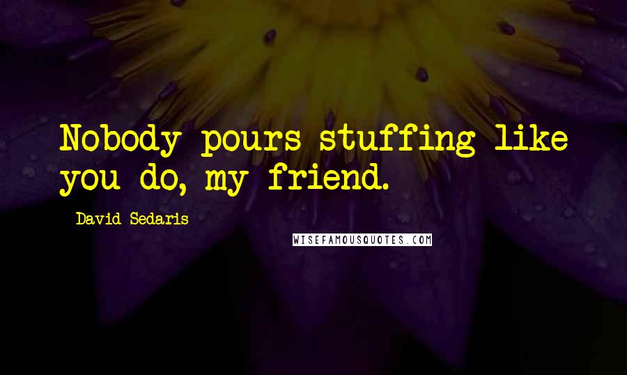 David Sedaris Quotes: Nobody pours stuffing like you do, my friend.