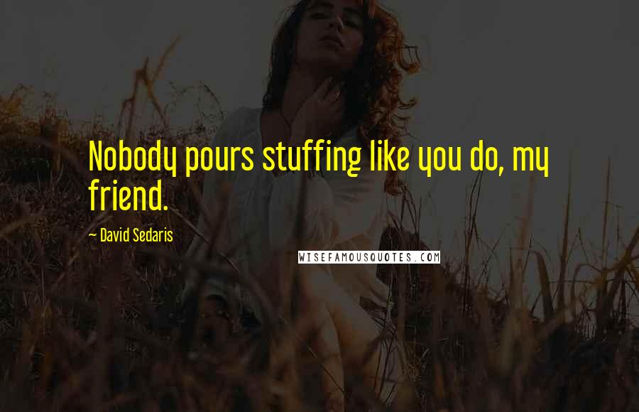 David Sedaris Quotes: Nobody pours stuffing like you do, my friend.
