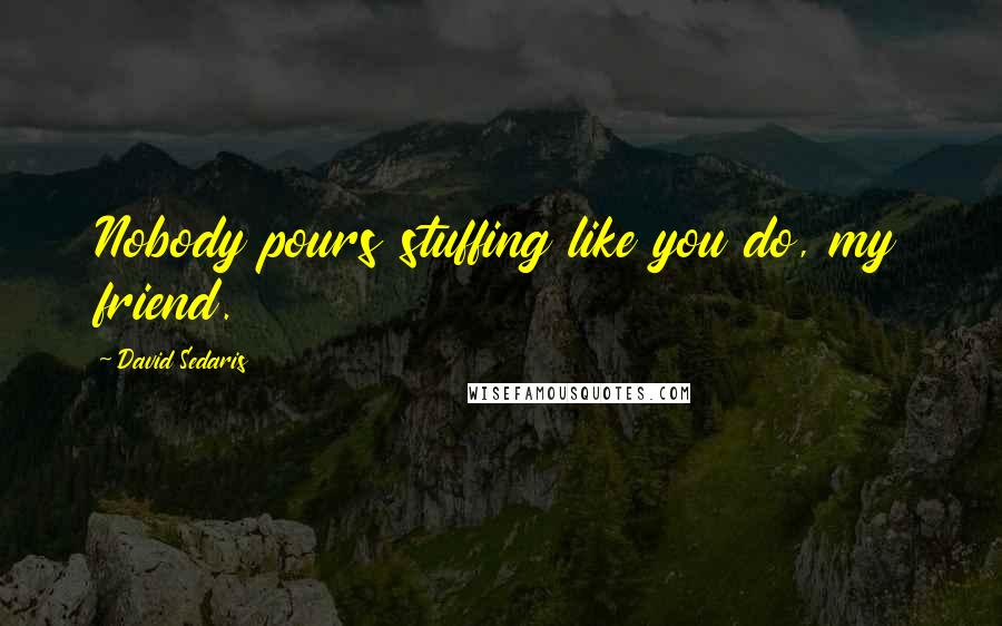 David Sedaris Quotes: Nobody pours stuffing like you do, my friend.