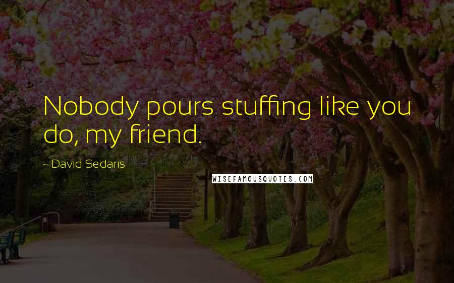 David Sedaris Quotes: Nobody pours stuffing like you do, my friend.
