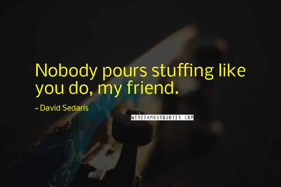 David Sedaris Quotes: Nobody pours stuffing like you do, my friend.