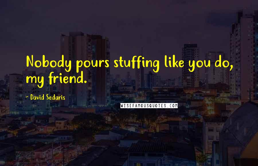 David Sedaris Quotes: Nobody pours stuffing like you do, my friend.