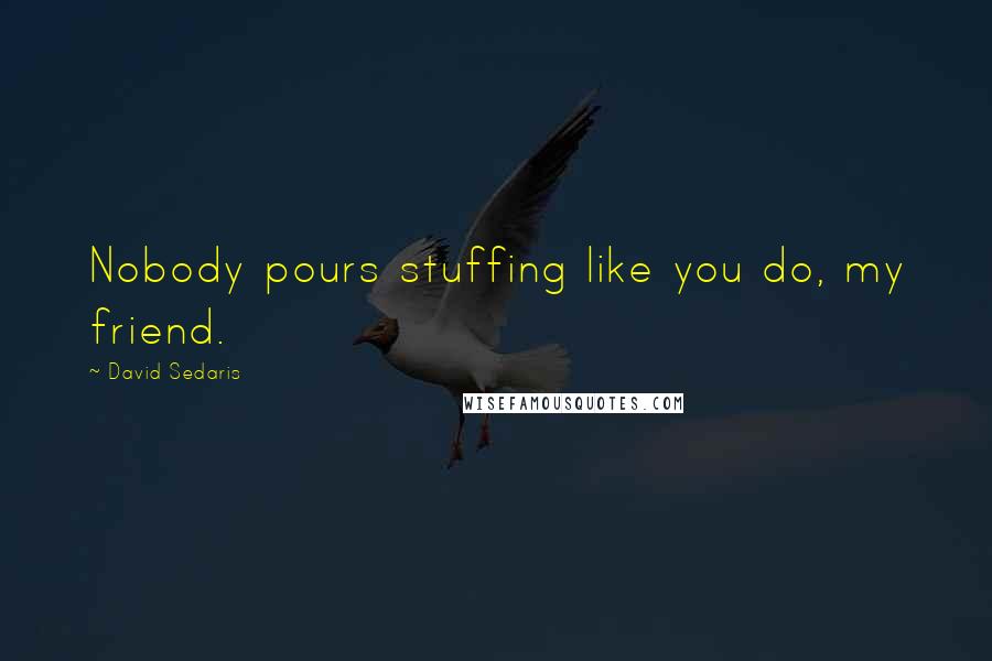 David Sedaris Quotes: Nobody pours stuffing like you do, my friend.