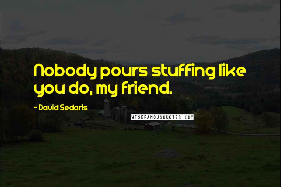 David Sedaris Quotes: Nobody pours stuffing like you do, my friend.