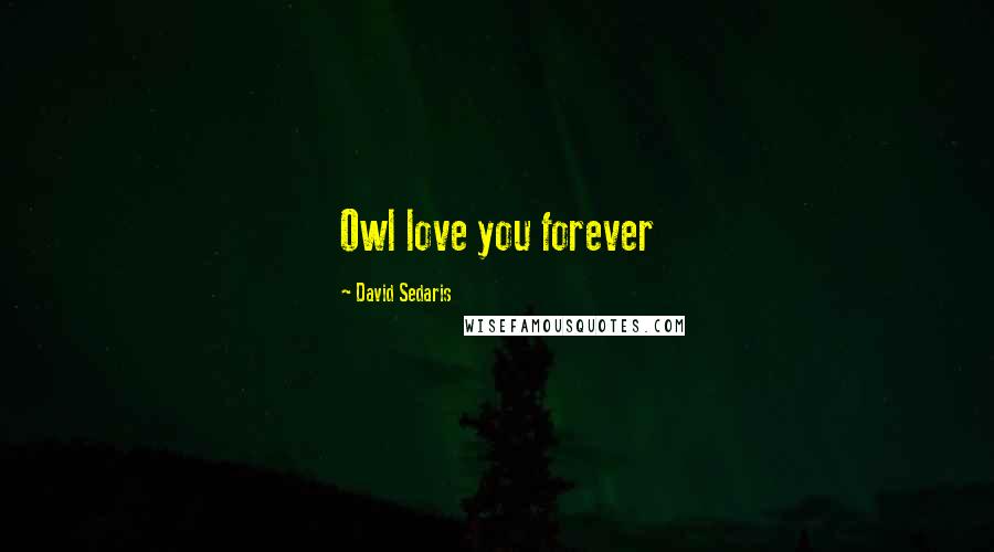 David Sedaris Quotes: Owl love you forever