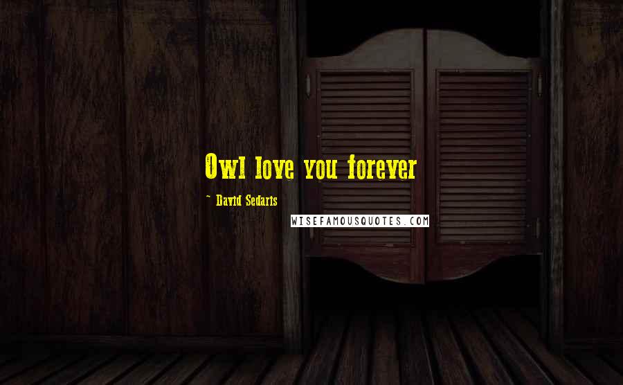 David Sedaris Quotes: Owl love you forever